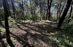 0 Tom Sharp Rd, Columbia, TN 38401