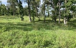 956 Nine Mile Road, Milam, TX 75975