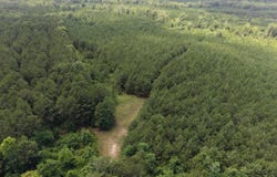 Junction City, AR 71749