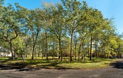0 Southern Pine Place, Mabank, TX 75156