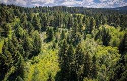 Livingston Peak Road, Livingston, MT 59047