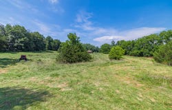 TBD Salem Church Rd, Mt. Sidney, VA 24467
