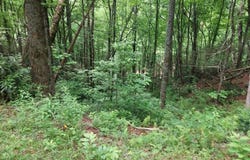 0 LOT 37 Saddleback Circle, Sky Valley, GA 30537
