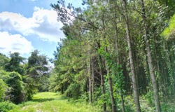 US HWY 231 lot: 9, BRUNDIDE, AL 36010