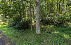 LOTS 83-84 ORIOLE CT, FRONT ROYAL, VA 22630