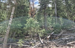 Bonnie Green DR, Duck Creek, UT 84762