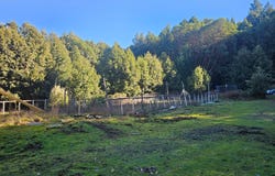 27651 Skyview Road, Willits, CA 95490