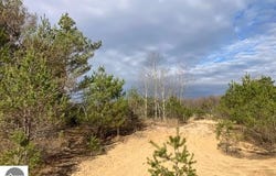 Parcel F-3 N 2 1/2 Road, Buckley, MI 49620