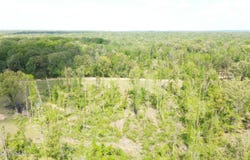 Stevens Rd, Yazoo City, MS 39194
