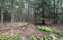 Lot 45 + Gardner Road, Newfoundland, PA 18445
