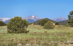 TBD L R Path, Cotopaxi, CO 81223