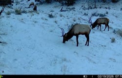 18946 County Road 57, Maybell, CO 81640