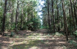 P38-54 Lake Point Passage, Douglass, TX 75943