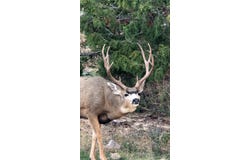 243 Pleasant Valley Rd, Hartville, WY 82215