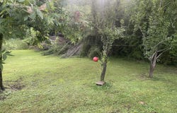 307 Nabors Dr., Ripley, MS 38663