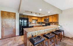 4612 RYAN GULCH ROAD, Silverthorne, CO 80498