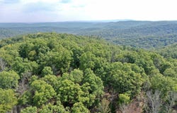 7847 S AR 9 Hwy, Melbourne, AR 72556