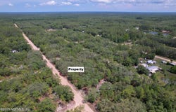 DOTTIE Street, Interlachen, FL 32148
