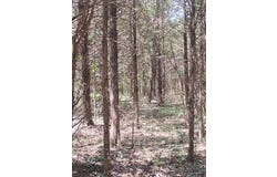 125 Blessing (Heritage Bend #11) Way, Protem, MO 65733