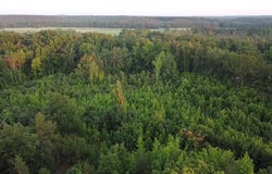 CR 607 and Hwy 72 E, Walnut, MS 38683