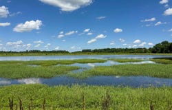 Lawrence Rd 348, Alicia, AR 72410