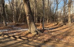 UPPER BACK CREEK RD, MONTEREY, VA 24465