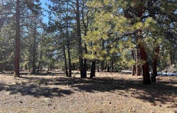 Badger Trail S, Ridgway, CO 81432