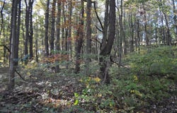 2505 WEST END AVENUE, POTTSVILLE, PA 17901
