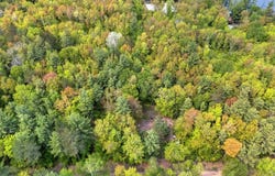 11042 W Lilly Lake, Manistique, MI 49854