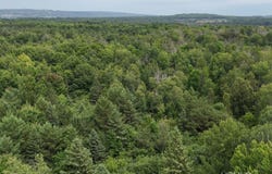 TBD190 Pacific, Atlantic Mine, MI 49905