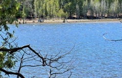 Off River Edge Drive, Cheboygan, MI 49721