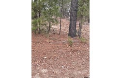 19215 FM 1804, Lindale, TX 75771