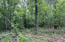 12 Acres on Meadow Creek DR, Harrison, AR 72601