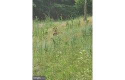 3029 WHITETAIL RIDGE ROAD, BURLINGTON, WV 26710