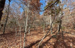TBD Madison 5326  RD, Huntsville, AR 72740