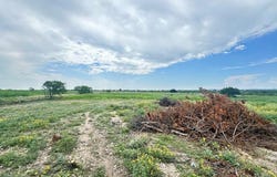 8741 Rust Road lot: 89, San Angelo, TX 76905