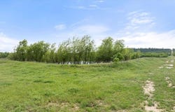 Tbd-1 County Road 120, Gordon, TX 76453