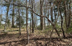 10 Bromley Court, Muttontown, NY 11791
