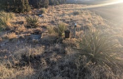 1854 DEER CANYON Trail, Mountainair, NM 87036