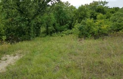 2244 Highway 355 South, Saratoga, AR 71859