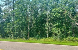 Tbd* C.R. #115, Pine River, MN 56474
