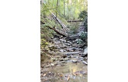 793 Jones Road Rd, Sneedville, TN 37869