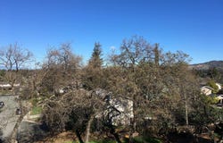 1032 Millbrook CT, Walnut Creek, CA 94598
