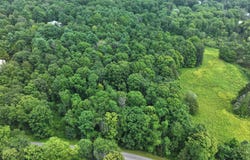 Tbd Deer Run Rd(Off Spring Lake Road, Red Hook, NY 12571