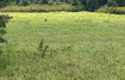 0000 woody pace rd, Antler, OK 74523