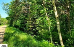 0 Hillside Drive, Alger, MI 48610