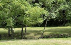 1599 Locust Fork Road, Stamping Ground, KY 40379