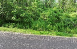 0 Drew Road, Ithaca Town, NY 14850