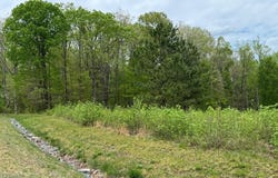 Lot 64 ARK AVENUE, BUMPASS, VA 23024
