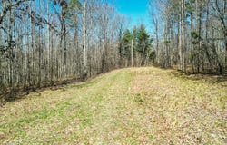 0 County Road 492, Henagar, AL 35978